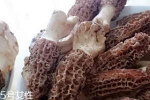 羊肚菌是什么東西？羊肚菌能吃嗎？