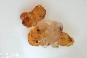 桃膠可以用開水泡嗎？用開水泡桃膠好嗎？