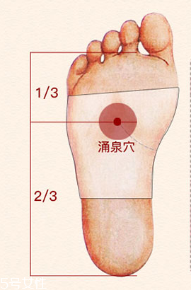 溢涌堂老北京足貼價錢 溢涌堂老北京足貼多少錢？