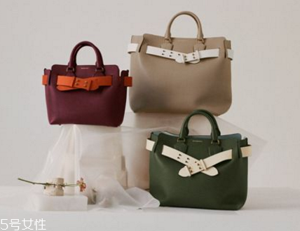 burberry the belt bag多少錢？巴寶莉貝爾特包專柜價(jià)格