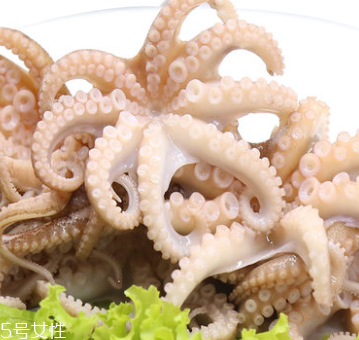 章魚是什么顏色？章魚是什么樣子？