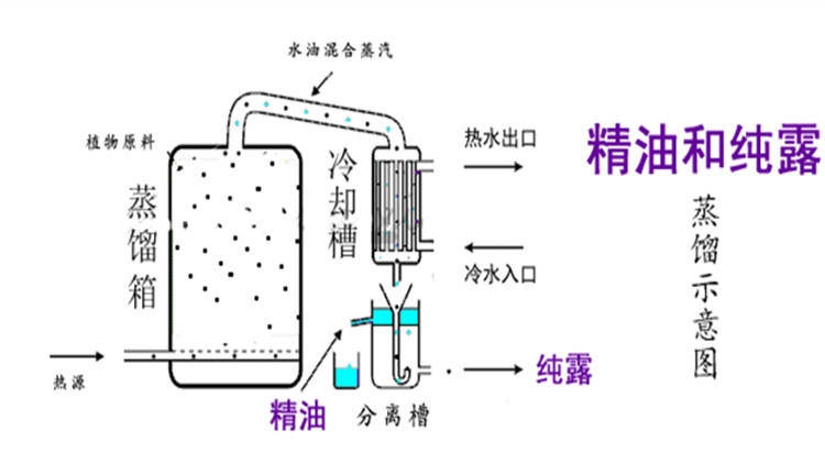 純露怎么濕敷效果好？純露濕敷的正確步驟