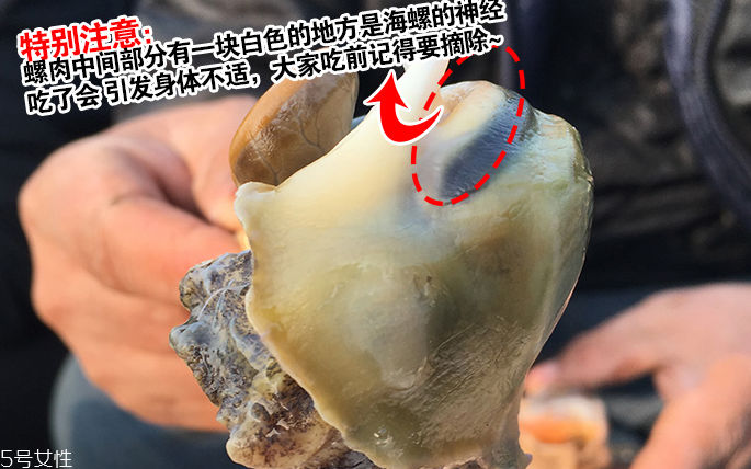 海螺會(huì)中毒嗎？吃海螺中毒多久會(huì)緩解？