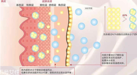 頑固痘痘怎么消除？油皮為什么反復(fù)爆痘？