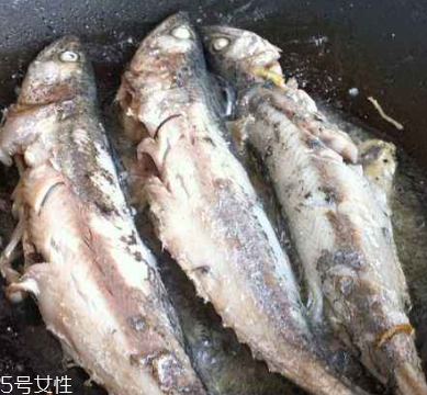 鲅魚是什么樣子的 鲅魚身如錘形