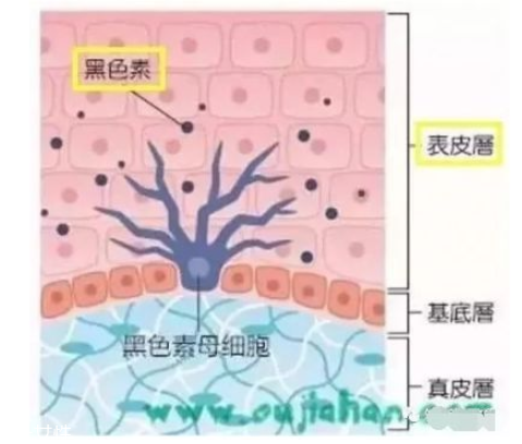 黑眼圈嚴重怎么去除 跟熊貓眼說byebye