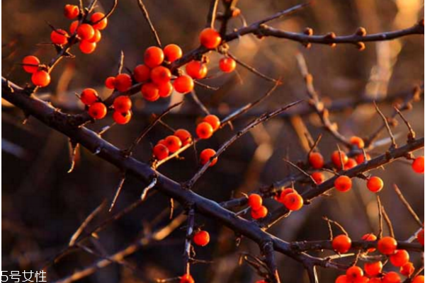 皮膚黑唇色深適合什么顏色的口紅 這些口紅你還沒(méi)買(mǎi)