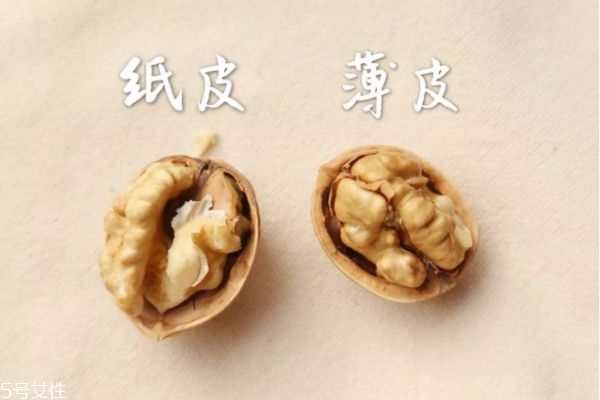 薄皮核桃價(jià)格多少錢一斤 薄皮核桃的功效與作用