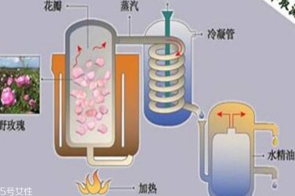 純露和精油哪個(gè)好 純露更為安全