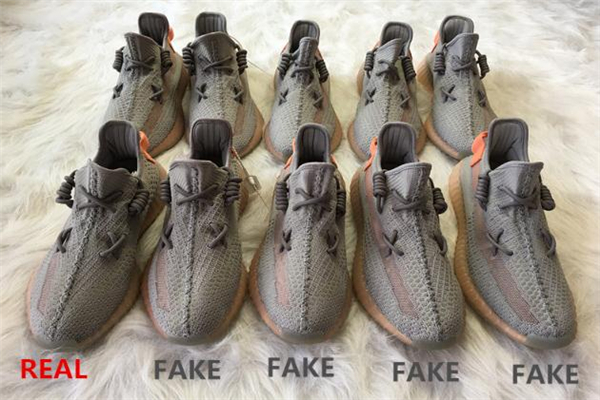 yeezy 350歐洲限定真假對(duì)比 椰子350歐洲限定真假鑒定