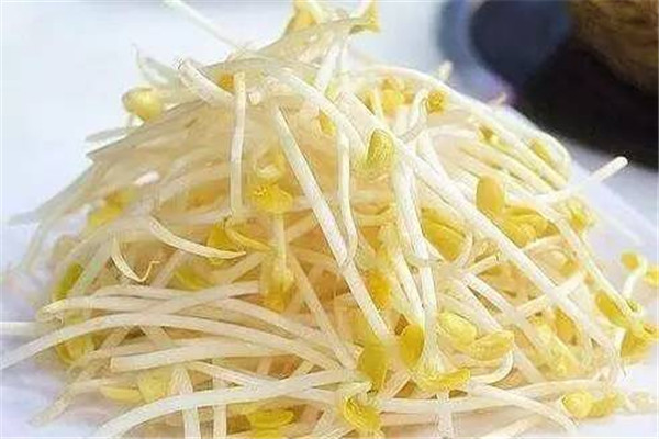 綠豆芽是豆制品嗎 綠豆芽是不是發(fā)物