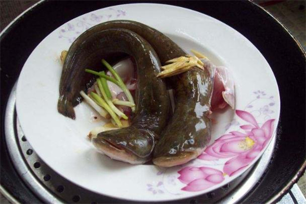 鯰魚(yú)怎么去除粘液 鯰魚(yú)怎么清洗