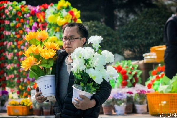 清明節(jié)的鮮花要用幾朵 清明節(jié)掃墓應(yīng)該用什么花