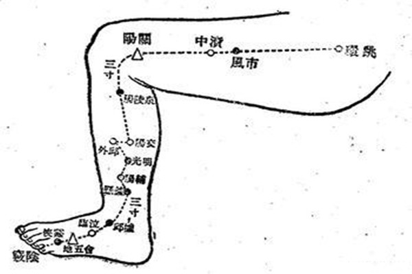 敲打膽經(jīng)多久能瘦腿呢 水腫型腿能敲打膽經(jīng)瘦腿嗎