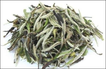 白毛茶有什么好處 白毛茶怎么泡