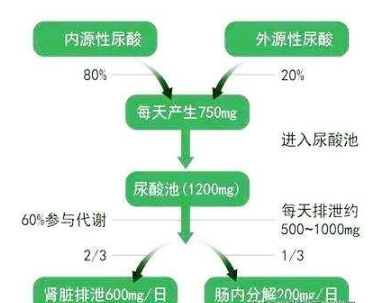 尿酸高可以吃瓜子嗎,有沒有影響的