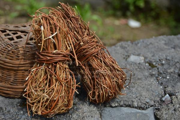 雞骨草可以和胡蘿卜一起煲湯嗎 雞骨草湯的食用禁忌有哪些