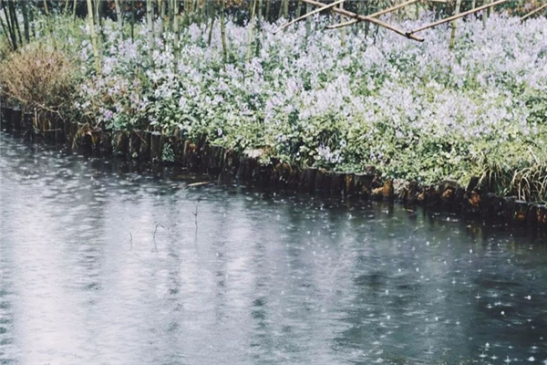 湖北多地遭遇特大暴雨 特大暴雨有多大