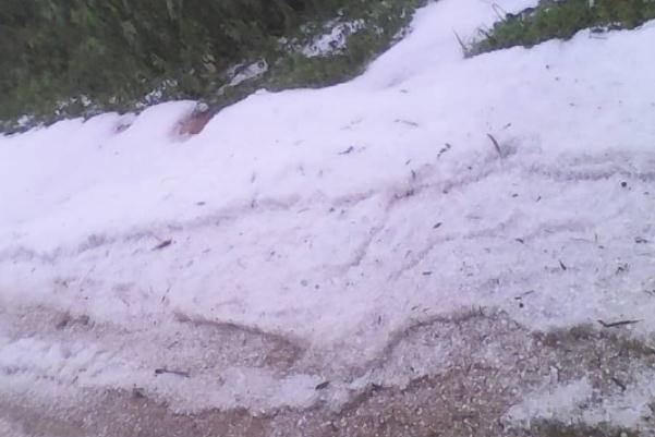 下雪天氣要注意什么 赤道附近的喀麥隆下雪了