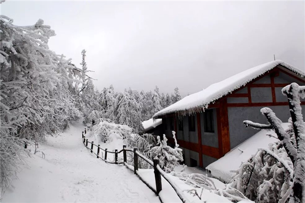 下雪一般是在什么節(jié)氣 下雪是什么時(shí)候