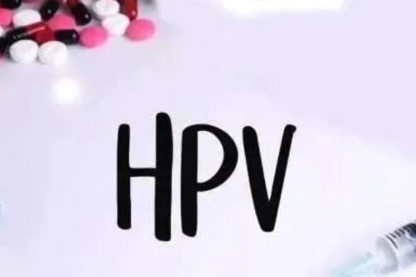 hpv疫苗的價位是多少 hpv疫苗打了多久不能懷孕