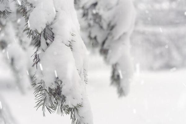 降雪是怎么形成的 降雪46小時通遼積雪深度破紀錄