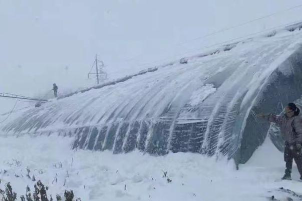 暴風(fēng)雪的危害有哪些 極寒暴風(fēng)雪冰封通遼