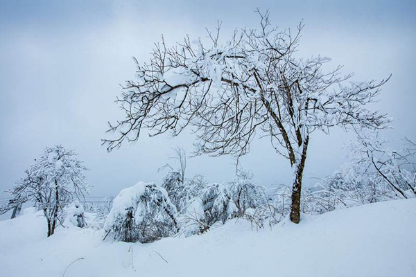 大雪節(jié)氣會(huì)下雪嗎 大雪節(jié)氣一定會(huì)下雪嗎