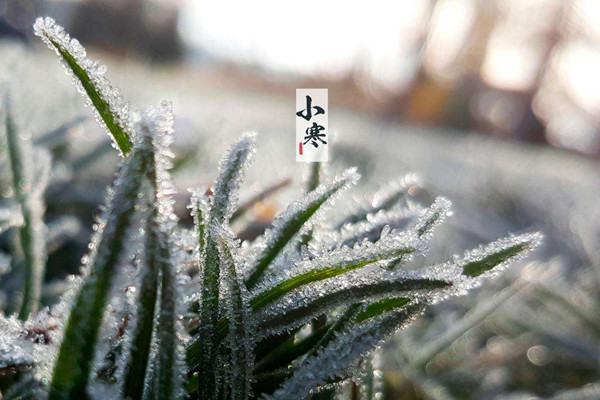 小寒節(jié)氣吃什么傳統(tǒng)食物 小寒節(jié)氣吃什么水果