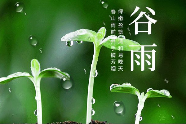 谷雨節(jié)氣的特點和風(fēng)俗 谷雨節(jié)氣是幾月幾號