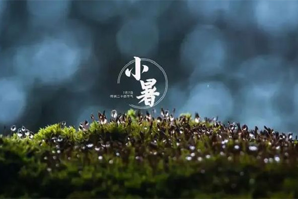 小暑節(jié)氣的寓意和傳統(tǒng) 小暑節(jié)氣有什么特點