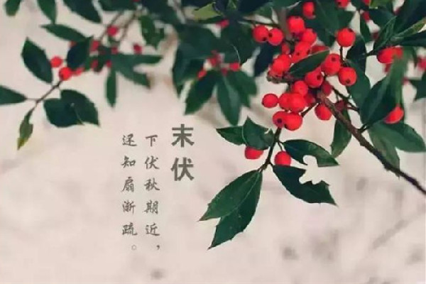 末伏會(huì)比中伏熱嗎 末伏會(huì)不會(huì)涼快點(diǎn)