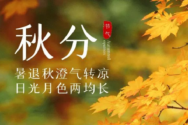 秋分是2022年的幾月幾日 秋分是進入秋天的意思嗎