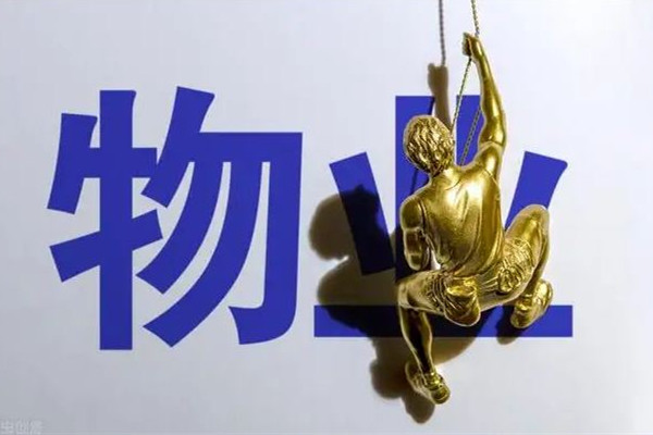 人民網評小區(qū)物業(yè)監(jiān)控業(yè)主 物業(yè)公司主要負責哪些工作