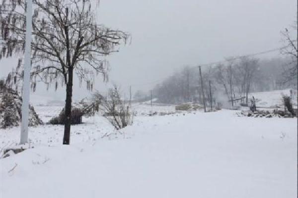 冷空氣發(fā)威上海已見(jiàn)初雪 下雪要注意什么