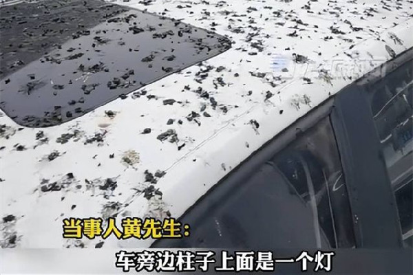 男子停車半小時車身獨得鳥屎全覆蓋 停車為什么要收費