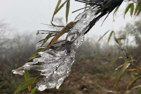 2023年來最強雨雪上線 雨雪天氣是什么造成的