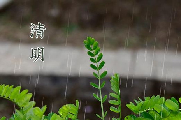 清明節(jié)氣是幾月幾號 清明節(jié)氣的含義是什么意思